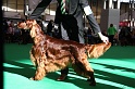 Crufts2011 082
